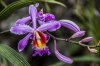30/6 _DSC0164 Josquin.jpg
